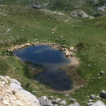 Національний парк Дурмітор