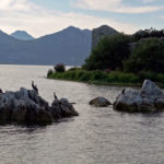 Національний парк Скадарське озеро