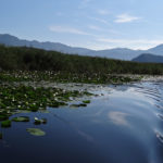 Національний парк Скадарське озеро