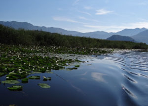 Національний парк Скадарське озеро