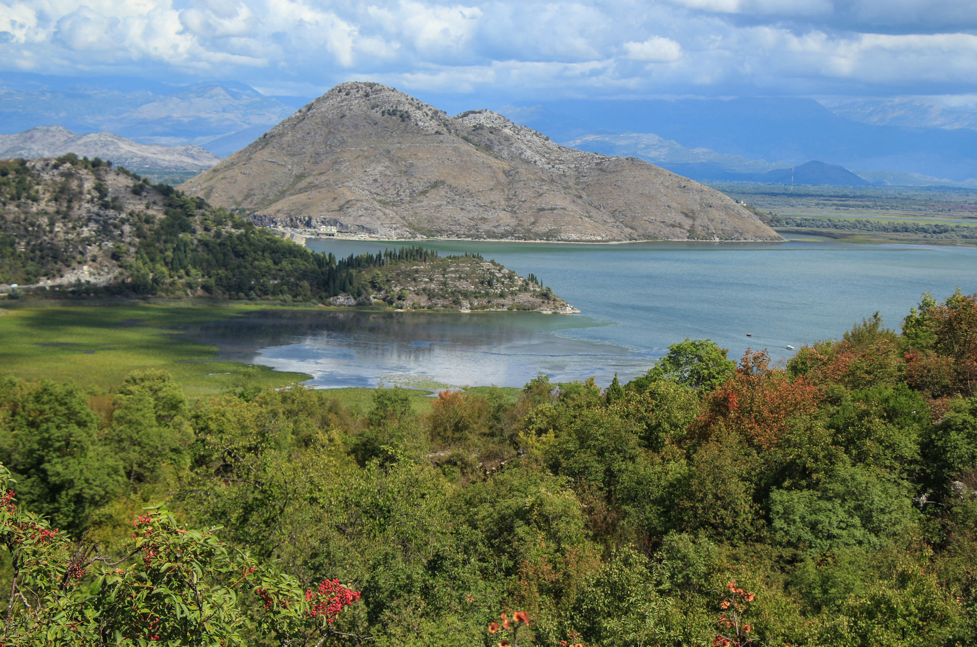 Національний парк Скадарське озеро