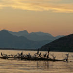 Національний парк Скадарське озеро