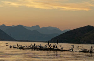 Національний парк Скадарське озеро