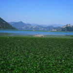 Національний парк Скадарське озеро