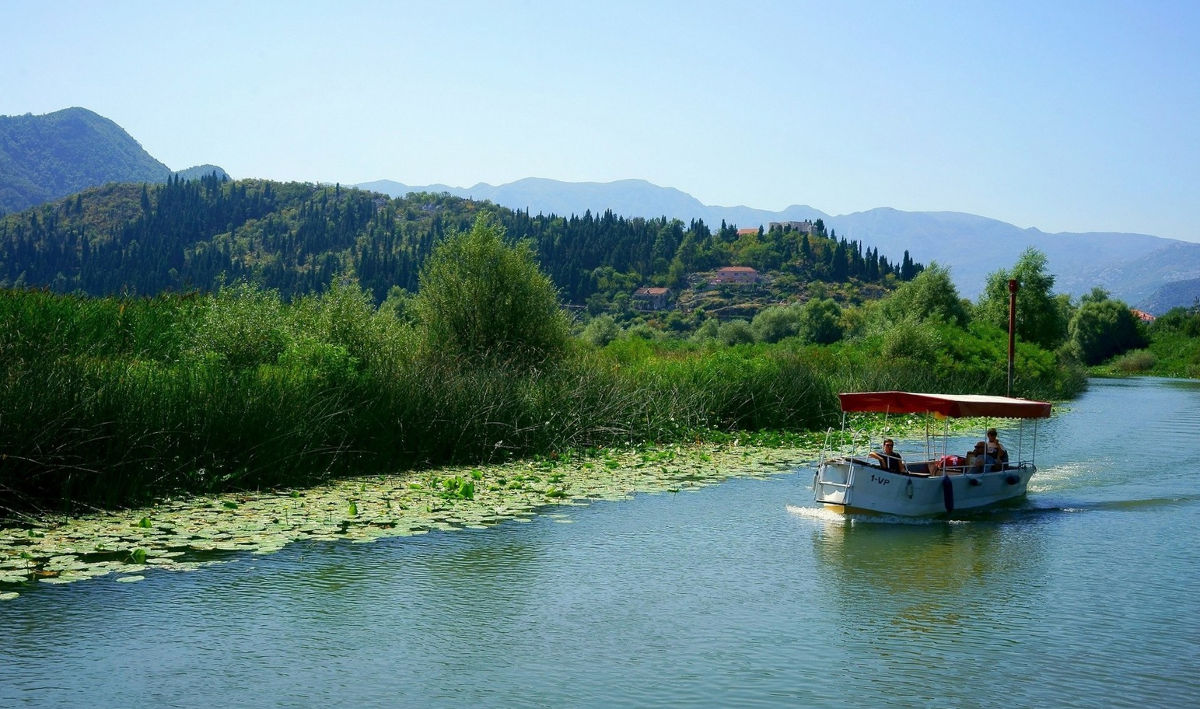 Національний парк Скадарське озеро