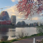 Тирана - Албанія