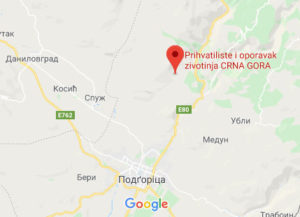 Розташування Контактного зоопарку в Подгориці на карті