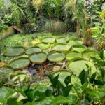 Ботанічний сад університету Граца - Грац - Австрія