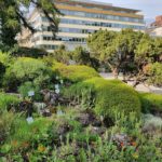 Ботанічний сад - Відень - Австрія