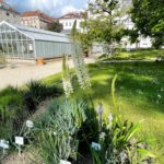 Ботанічний сад - Відень - Австрія