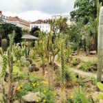 Ботанічний сад - Відень - Австрія