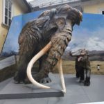 Музей природної історії - Зальцбург - Австрія