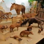 Музей природної історії - Зальцбург - Австрія