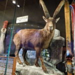 Музей «Панорама Тіроля» - Інсбрук - Австрія