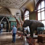 Музей природознавства - Відень - Австрія