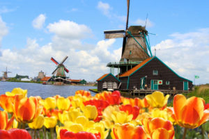 Нідерланди