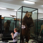 Національний музей природної історії - Софія -Болгарія