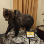 Національний музей природної історії - Софія -Болгарія