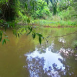 Балтата - Албена - Болгарія