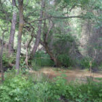 Балтата - Албена - Болгарія