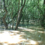 Балтата - Албена - Болгарія