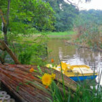 Балтата - Албена - Болгарія