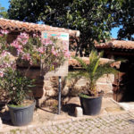 Церква Пресвятої Богородиці - Созополь - Болгарія