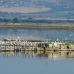 Поморіє - Болгарія