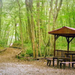 Природний парк «Золоті Піски» - Болгарія