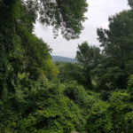 Природний парк «Золоті Піски» - Болгарія