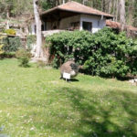 Монастир Аладжа - Варна - Болгарія