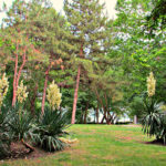 Приморський парк Бургаса - Болгарія