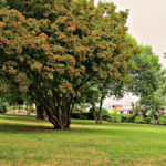 Приморський парк Бургаса - Болгарія