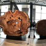 Центр науки «Коперник» в Варшаві - Варшава - Польща