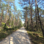 Кампіноський національний парк - Варшава - Польща