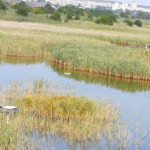 Заповідник «Пода» - Бургас - Болгарія