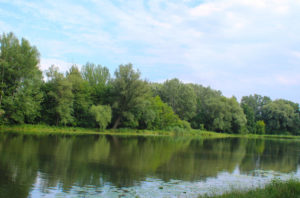 Вілянувський палац - Варшава - Польща