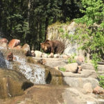 Варшавський зоопарк - Варшава - Польща