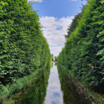 Оливський парк - Гданськ - Польща