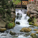 Оливський парк - Гданськ - Польща