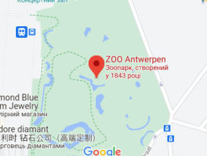 Розташування Антверпенського зоопарку на карті
