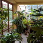 Музей Віктора Орта - Брюссель - Бельгія