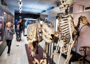 Розташування Музею зоології на карті