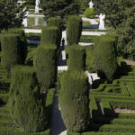 Королівський палац в Мадриді - Мадрид - Іспанія