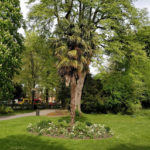 Парк «Воксол» - Монс - Бельгія