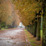 Стрийський парк - Львів - Україна