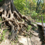 Високий Замок - Львів - Україна