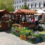 Гавельський ринок в Празі - Прага - Чехія