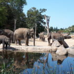 Празький зоопарк - Прага - Чехія