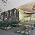 Музей народів Азії, Африки та Америки ім. Напрстека - Прага - Чехія